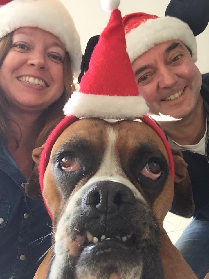 Boxer Dog wearing a santa headband with its fur parents sitting behind him