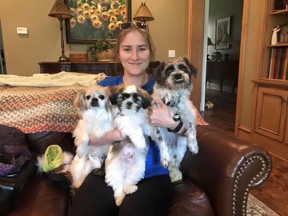 a woman sitting on the couch while carrying her three dogs