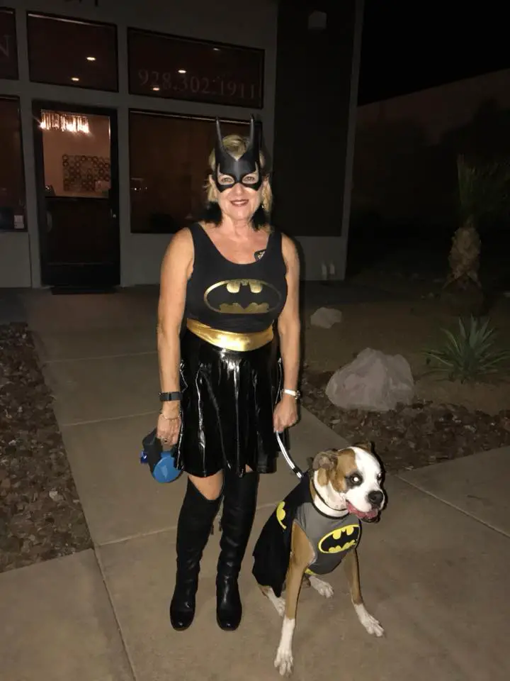 Boxer Dog sitting on the pathway in its batman outfit next to a woman in her batgirl outfit