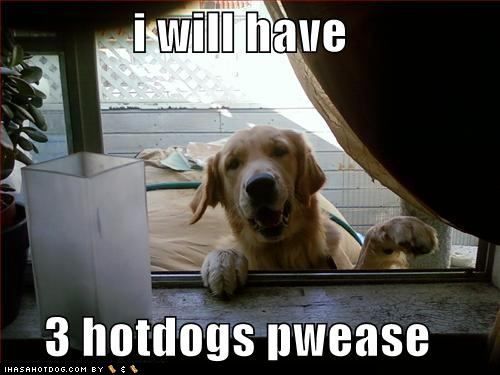 A Golden Retriever peeking behind the window while smiling photo with text - I will have 3 hotdogs pwease