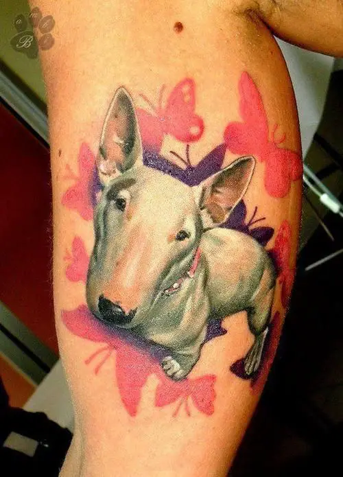 realistic white English Bull Terrier with purple and pink butterfly tattoo on the leg
