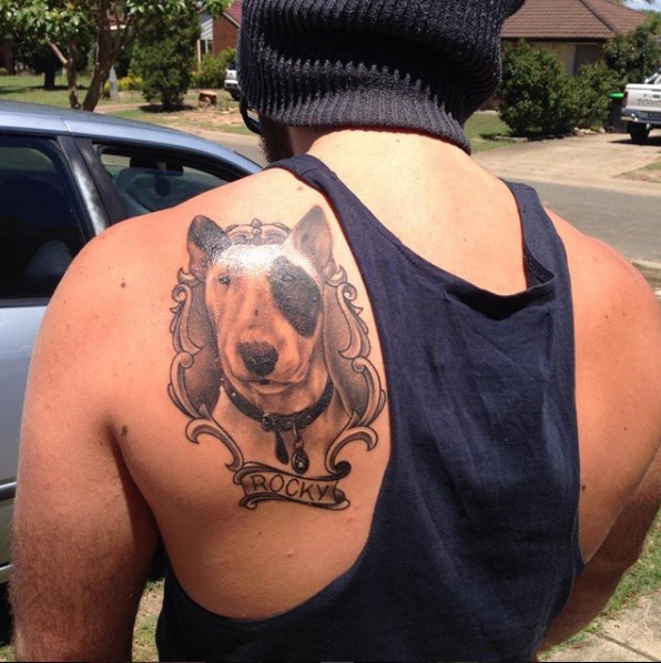 A English Bull Terrier in side a vintage frame black and gray tattoo on the shoulder back of a man