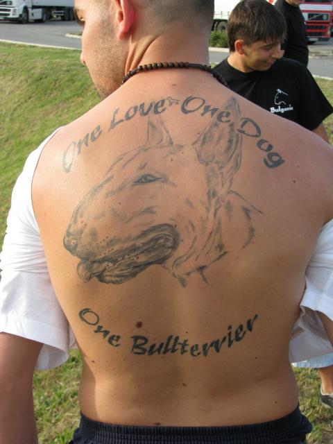 An outline sideview head of an English Bull Terrier with quote - One love, one dog, one bullterrier tattoo on the back of a man
