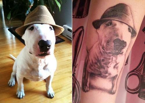 photo of a English Bull Terrier sitting on the floor and the shoulder of a man with a tattoo of him (the English Bull Terrier)