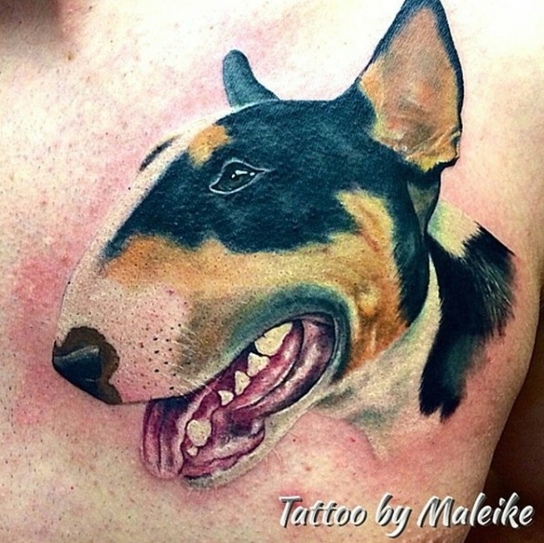 realistic sideview head of an English Bull Terrier tattoo on the chest