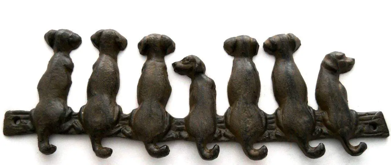 A key rach with seven sitting Labrador Retrievers