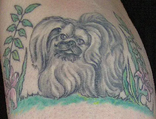 A Pekingese in the garden tattoo on the leg