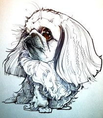 A Pekingese drawing for tattoo design