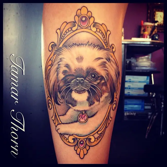 a Pekingese in a gold vintage frame tattoo on the leg