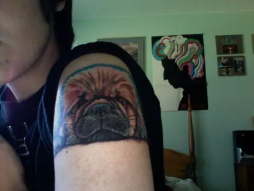 face of a brown Pekingese tattoo on the shoulder of a woman