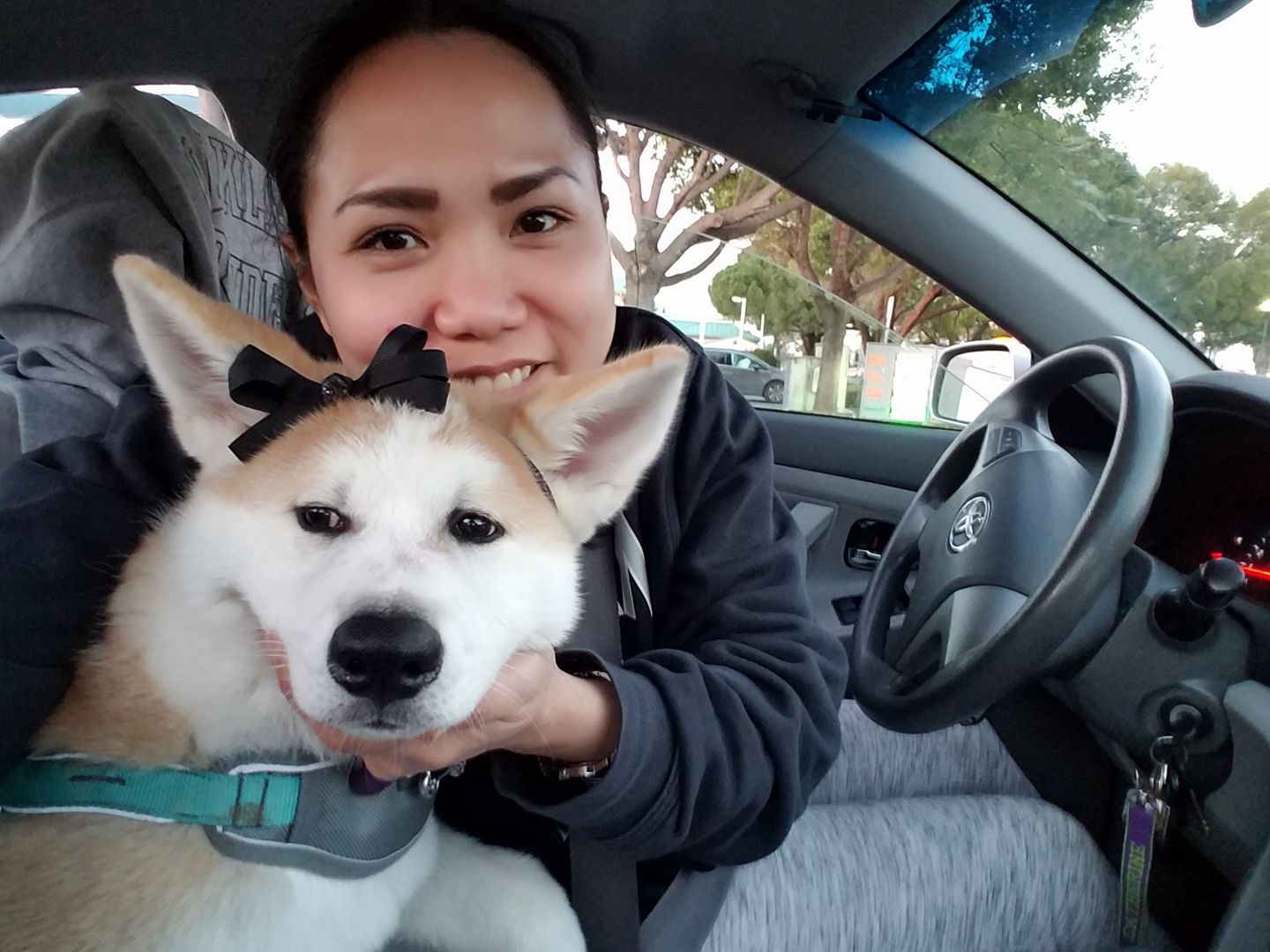 a woman taking a selfie inside the car with her Akita Inu wearing a black ribbon on top of its head
