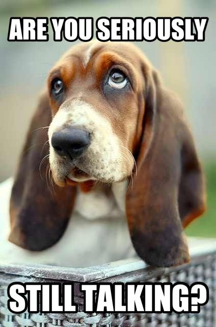 Basset Hound begging face with a text 