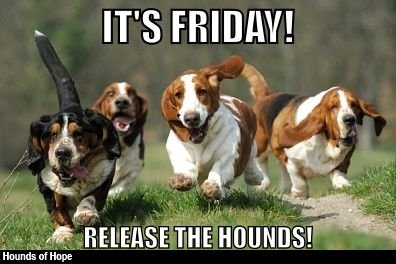 running group of Basset Hound at the park with a text