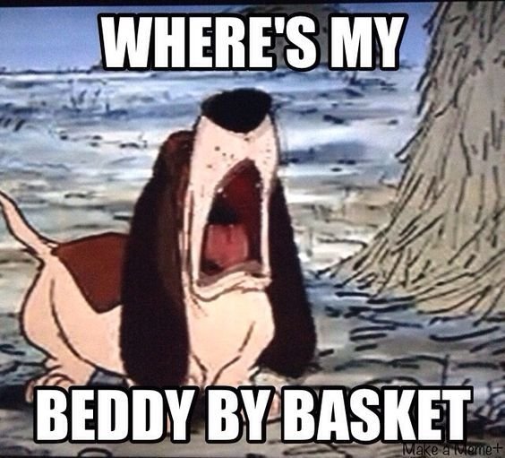 Basset Hound yawning a text