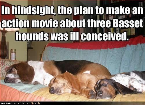 Basset Hounds sleeping on the couch with a text