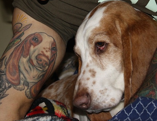 animated Basset Hound Tattoo on the biceps