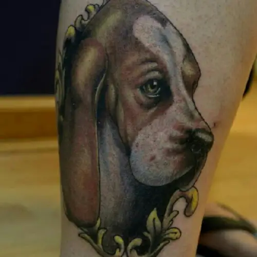 side view serious face of Basset Hound Tattoo