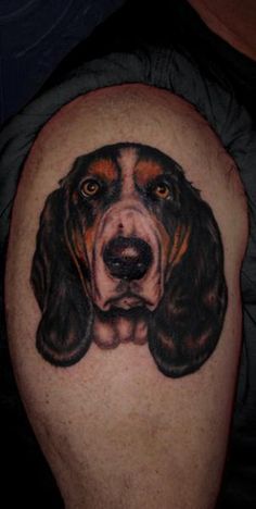 face of Basset Hound looking up Tattoo on the shoulder