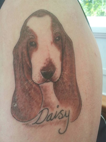 face of Basset Hound with name 