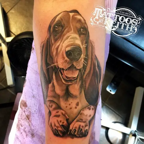 realistic happy Basset Hound Tattoo on the leg