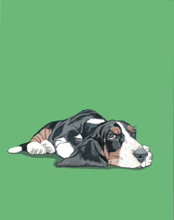 animated Basset Hound lying down in a green background