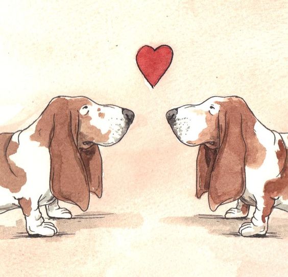two Basset Hounds looking at the red heart on top between them