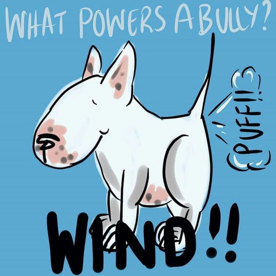 animated Bull Terrier with puff in its butt and a text 