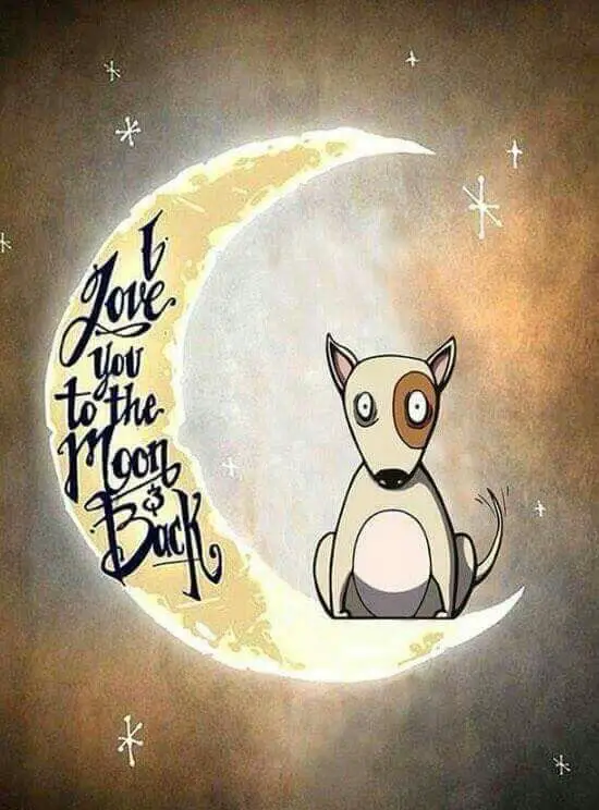 animated Bull Terrier sitting on the crescent moon with a text 