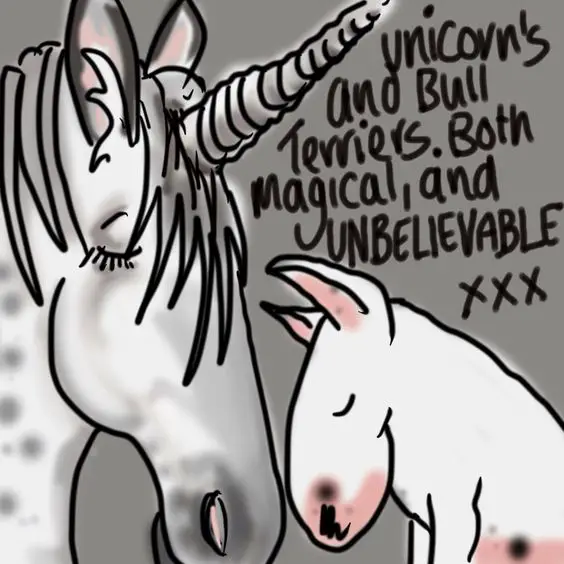 drawing of a Bull Terrier and a unicorn pressing their noses against each other with a text 