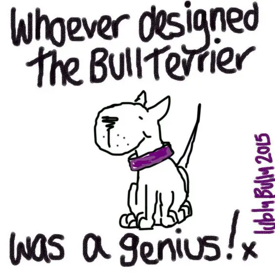 drawing of a sitting Bull Terrier with a text 