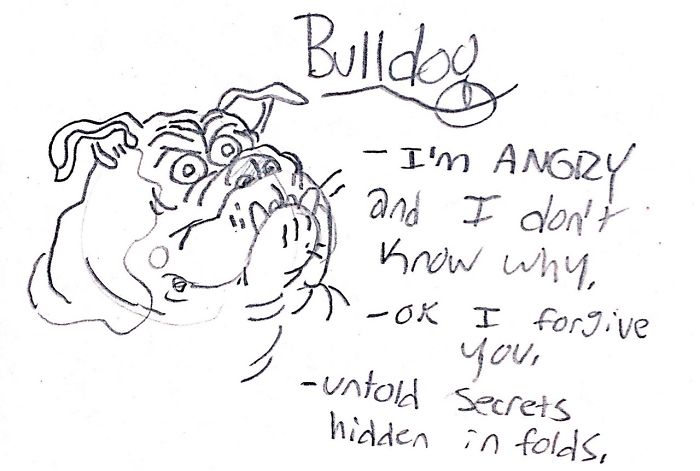 A hand drawn face of a Bulldog with handwritten - Bulldog- I'm hungry and I don't know why, ok I forgive you, untold secrets hidden in folds.