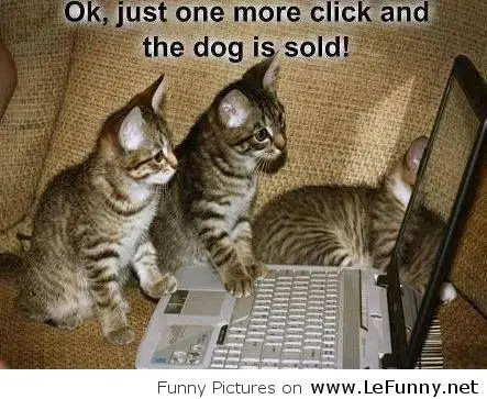 two kittens sitting on the couch while staring at the screen of the laptop in front of them photo with text - Ok, just one more click and dog is sold!
