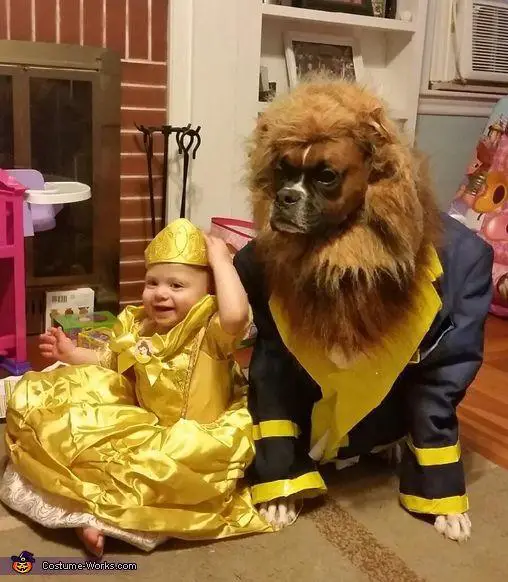 Boxer Dog siting on the floor wearing a Beast costume next to a kid who is wearing a Belle costume