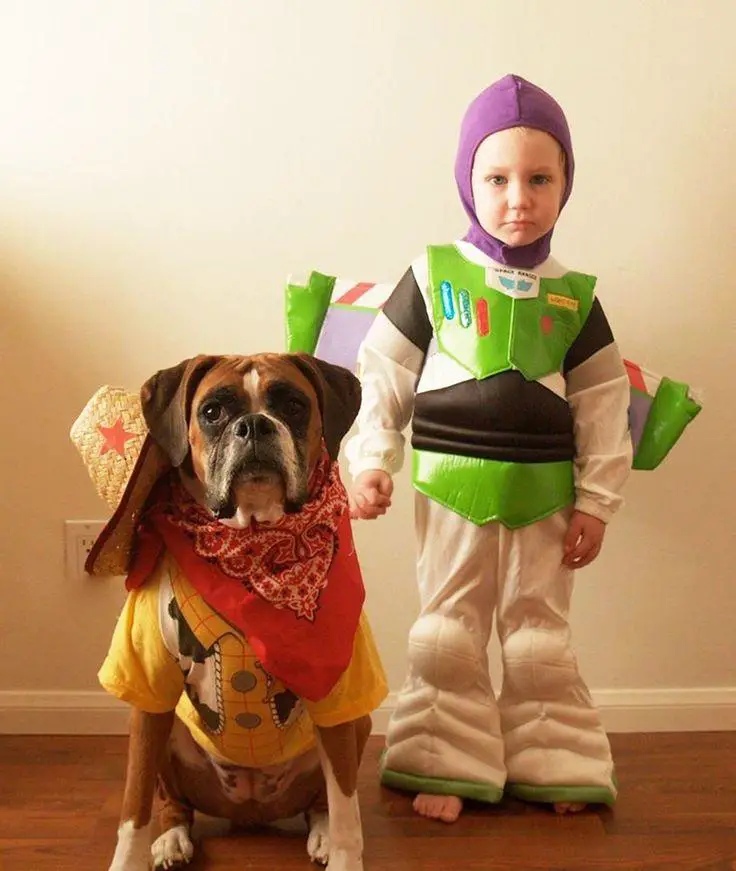 Boxer Dog in wood costume sitting on the floor next to a kid in buzz lightyear costume