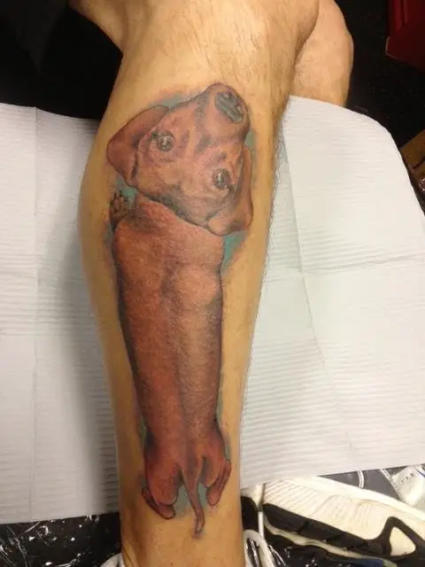Dachshund looking up tattoo on the leg