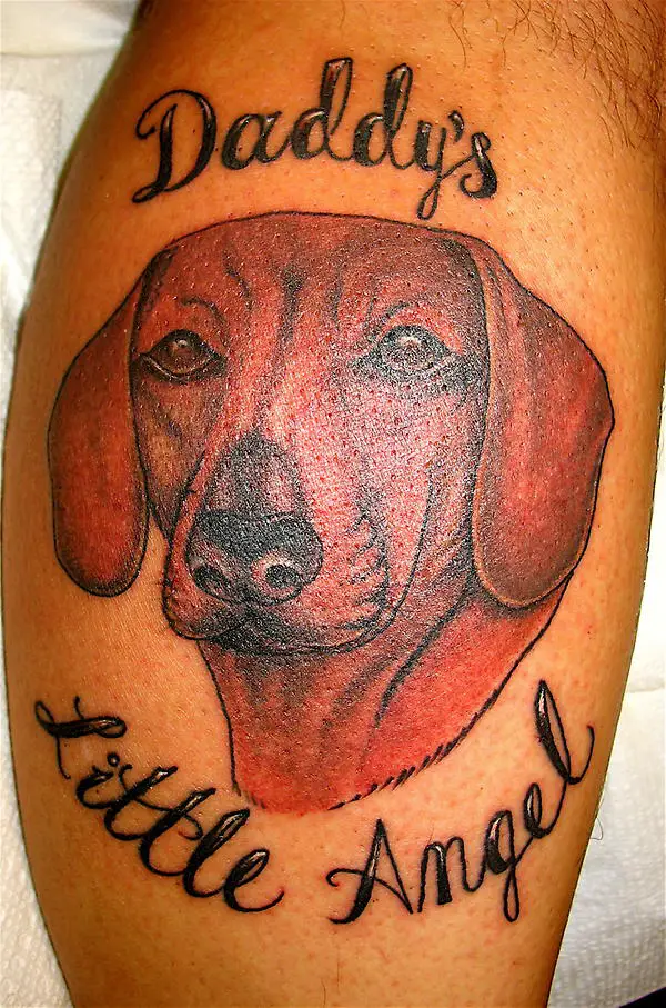 face of a brown Dachshund with words 