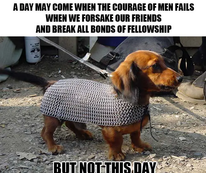 a dachshund wearing an armor costume photo with caption - a day may come when the courage of men fails when we forsake our friends and break all bonds of fellowship but not this day