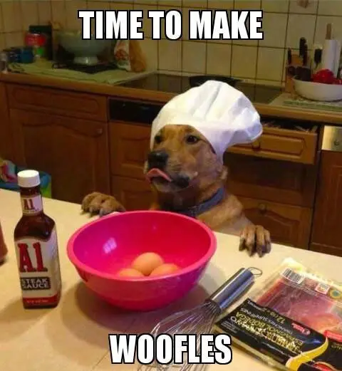 A dog wearing a chef hat while standing behind the table with baking ingredients on top photo with caption - time to make woofles