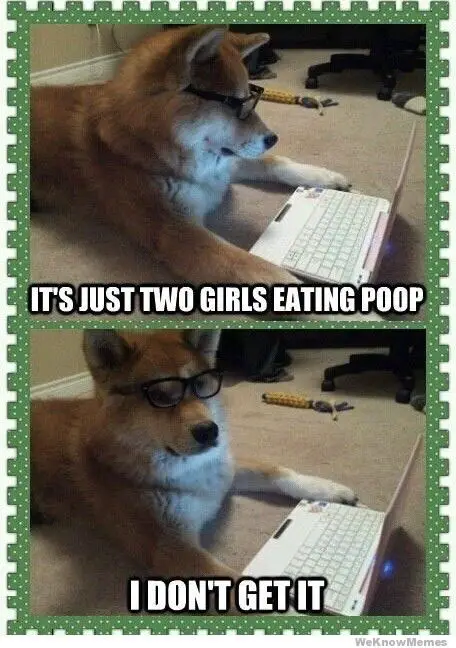 A shiba inu dog lying on the floor wearing glasses and in front of the laptop with caption - It's just two girls eating poop, I don't get it