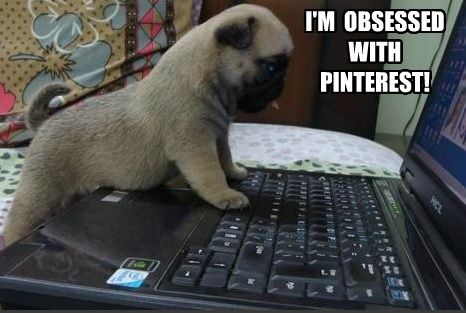 Pug leaning against the keyboard of a laptop photo with a text 