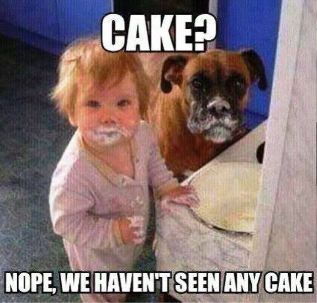 a baby and a boxer dog standing in front of the table with a smudged cake in their mouths photo with a text 