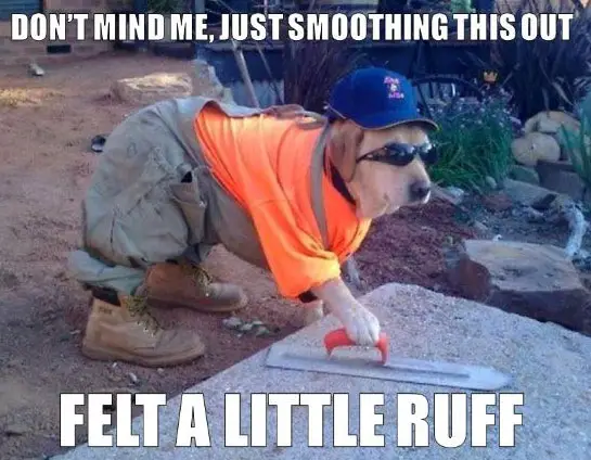 a dog wearing a carpenter outfit holding a tool on the concrete photo with text - Don't mind me, just smoothing this out felt a little ruff
