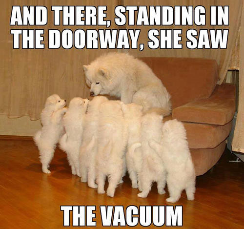A samoyed dog sitting on the chair while her puppies are standing on the floor leaning towards her photo with text- and there, standing in the doorway, she saw the vacuum