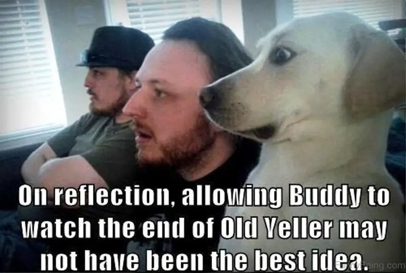 shocked dog sitting next to two guys on the couch watching a movie photo with a text 