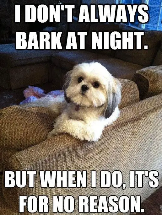 a Shihtzu sitting with its elbow on the back of the couch photo with text - I don't always bark at night. But when I do, it's for no reason.