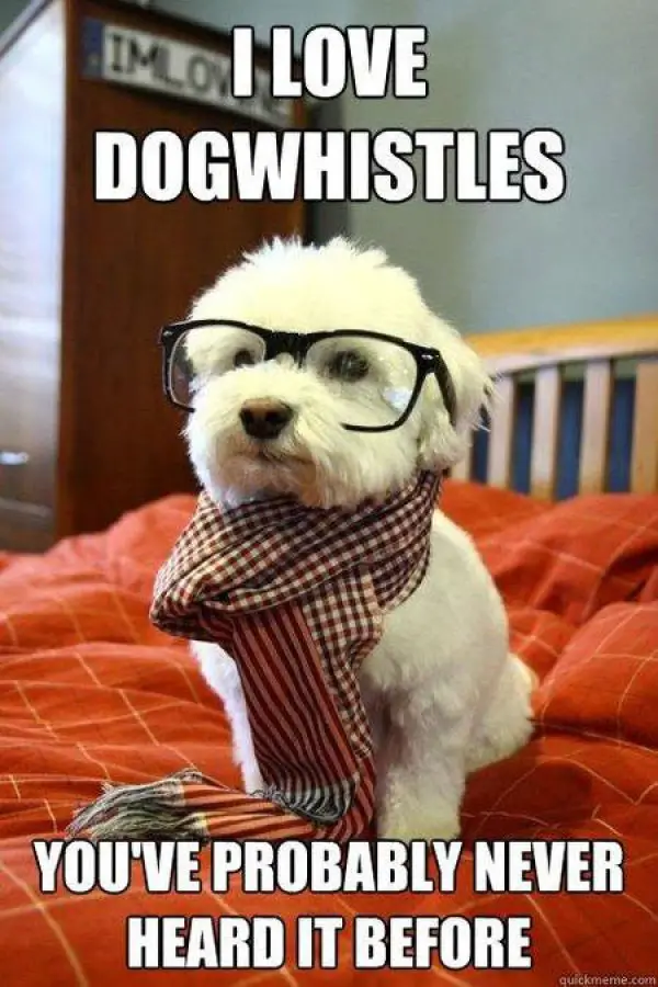  a white small dog wearing a scarf and glasses while sitting on the bed photo with text - I love dog whistles, you've probably never heard it before