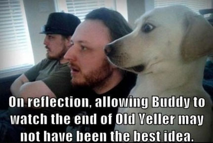 A dog sitting on the couch with two guys with its wide eyes and shocked expression photo with text - on reflection, allowing buddy to watch the end of old yeller may not have been the best idea