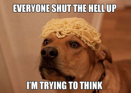 A dog with pasta on top of its head photo with text - Everyone shut the hell up I'm trying to think