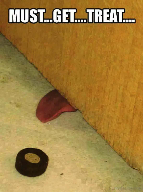 a dog's tongue reaching through the bottom of the door for the treat