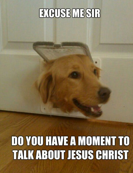 a golden retriever with its head in a square hole for the cat pathway photo with text - excuse me sir do you have a moment to talk about jesus christ